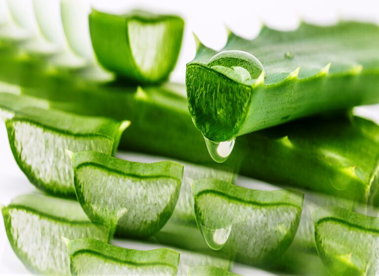 Aloe Vera Juice benifits