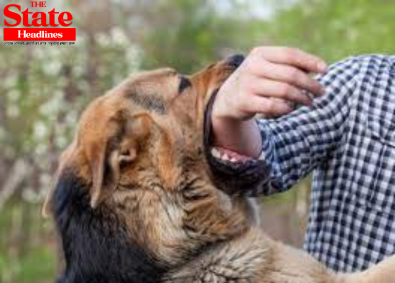 First Aid for Dog Bite