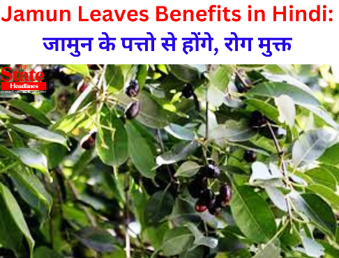 Jamun Leaves Benefits in Hindi
