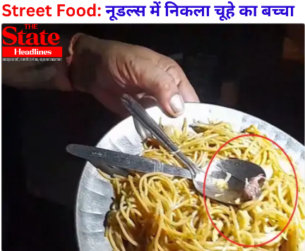 Street Food: नूडल्स में निकला चूहे का बच्चा