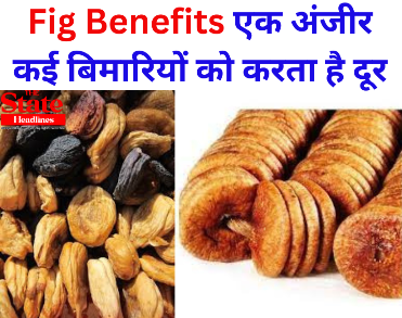 Fig Benefits