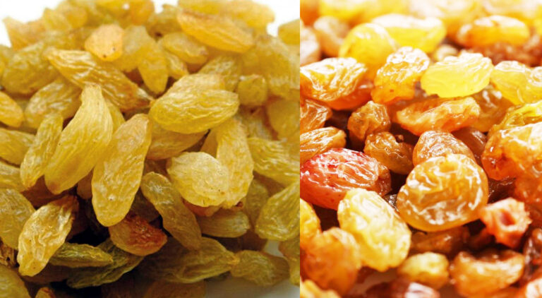 Kishmish Benefits in Hindi