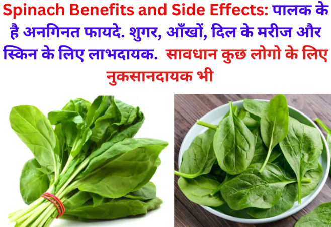 Spinach Benefits and Side Effects