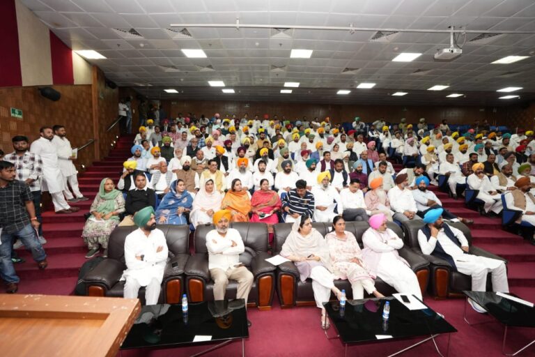 Lok Sabha and Assembly