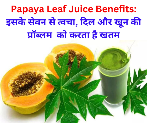 Papaya Leaf Juice Benefits