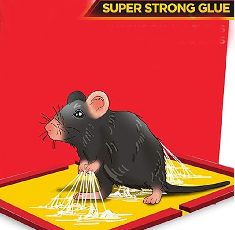 Glue trap for rats Ban