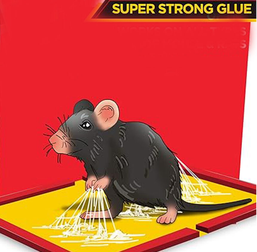 Glue trap for rats Ban