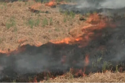 Stubble burning Punjab