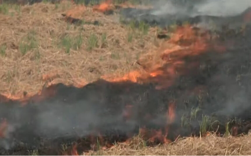 Stubble burning Punjab