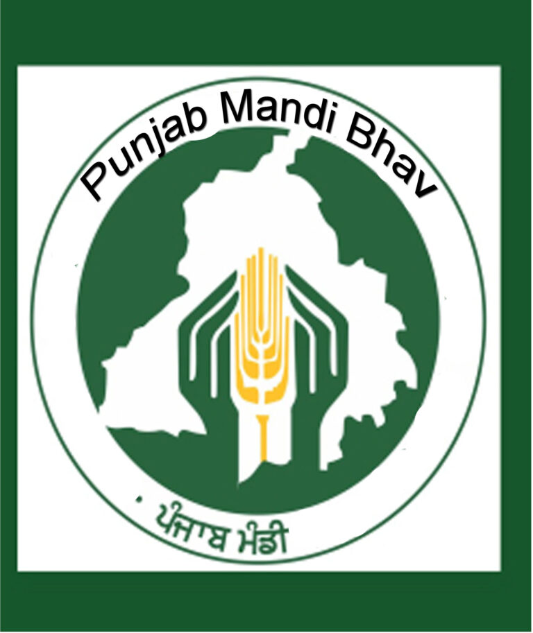 Punjab Mandi Rate Today
