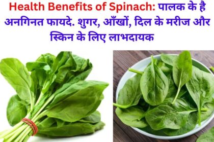 Benefits of Spinach