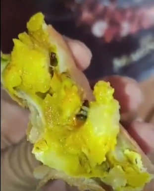 Cockroach in Samosa