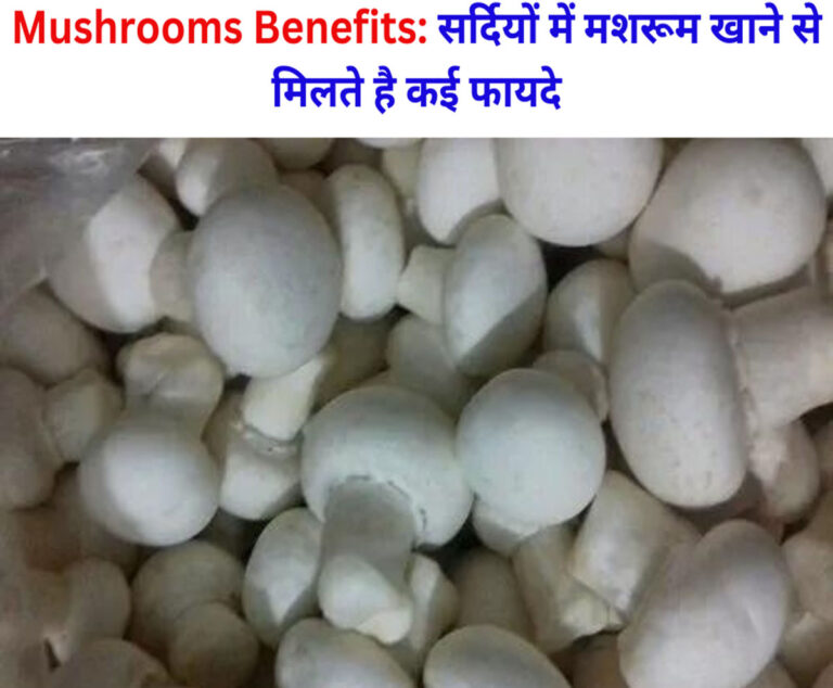 Mushrooms Benefits