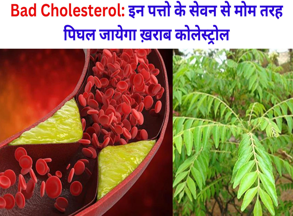 Bad Cholesterol