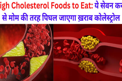 High Cholesterol Foods to Eat