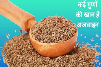 Ajwain Ke Fayde in Hindi