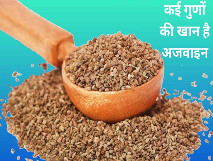 Ajwain Ke Fayde in Hindi