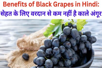 Benefits of Black Grapes in Hindi