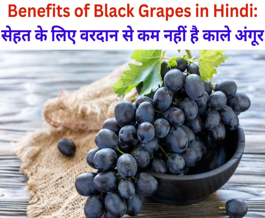 Benefits of Black Grapes in Hindi