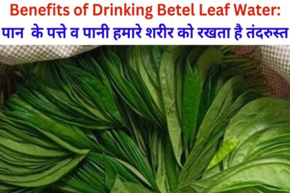 Benefits of Drinking Betel Leaf Water