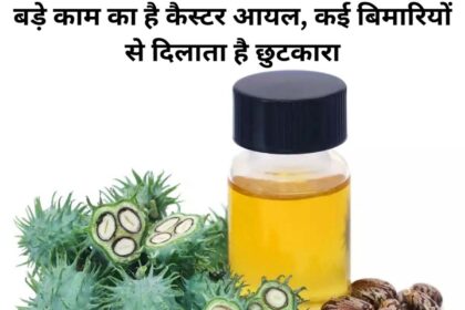 Castor Oil Benefits in Hindi