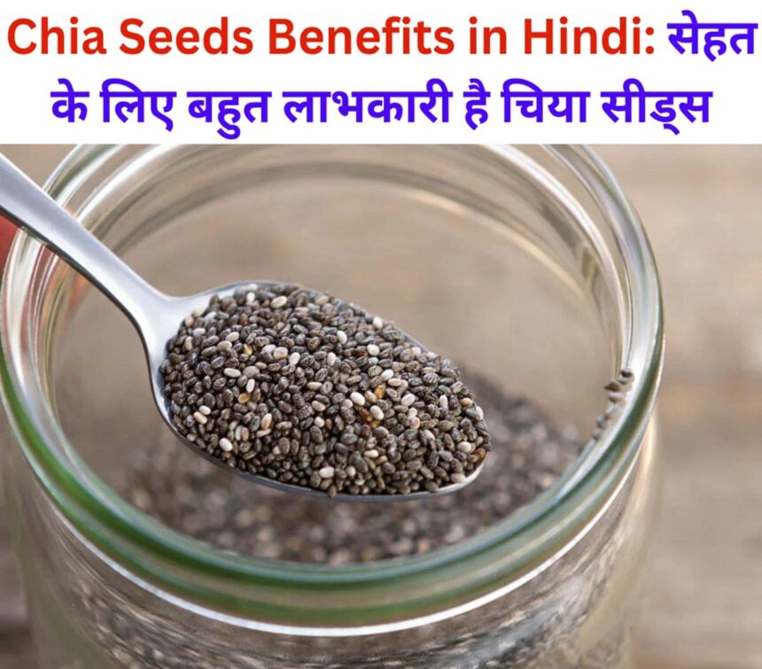 Chia Seeds Benefits in Hindi