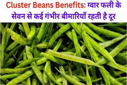 Cluster Beans Benefits