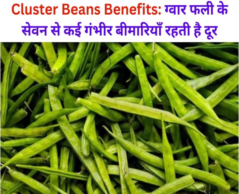 Cluster Beans Benefits