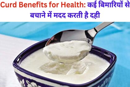 Curd Benefits for Health