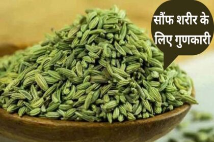 Fennel Seeds Benefits in Hindi