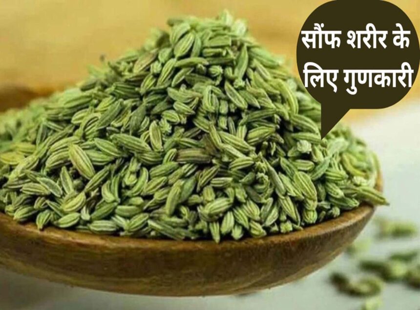 Fennel Seeds Benefits in Hindi