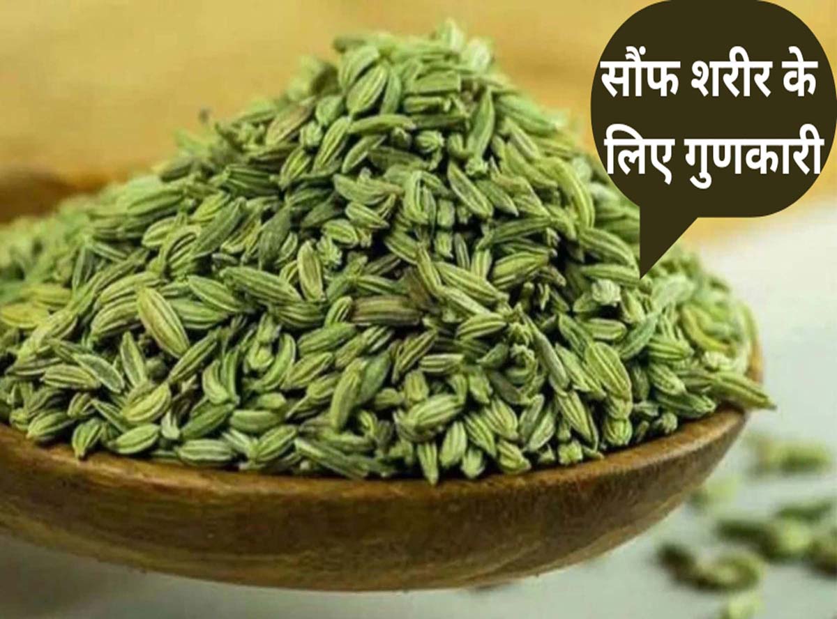 Fennel Seeds Benefits in Hindi