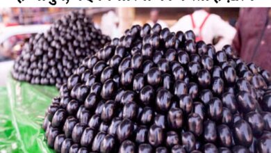 Jamun Benefits in Hindi