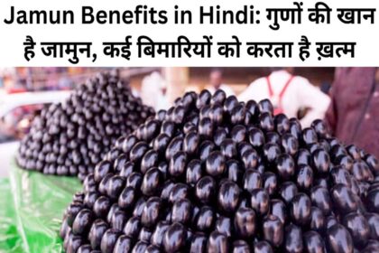 Jamun Benefits in Hindi