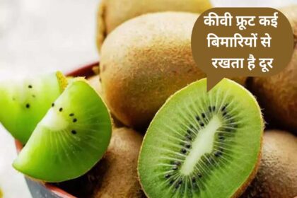 Kiwi Benefits in Hindi