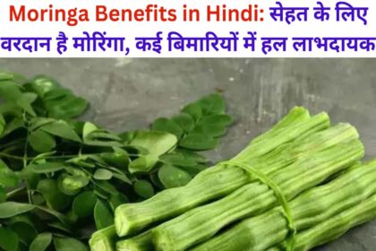 Moringa Benefits in Hindi