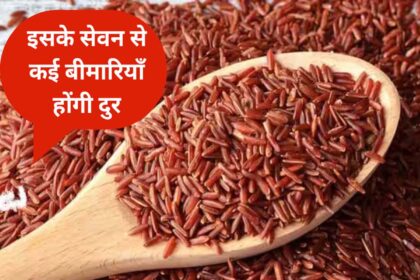 Red Rice Benefits in Hindi