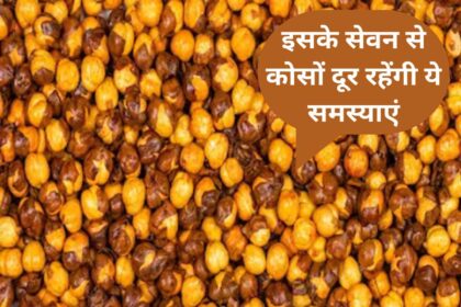 Roasted Chana Benefits in Hindi