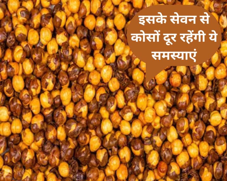 Roasted Chana Benefits in Hindi