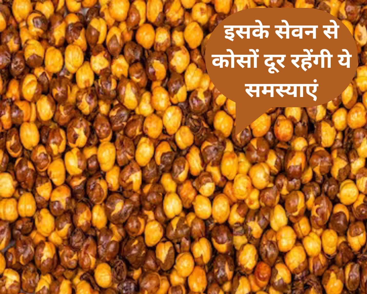 Roasted Chana Benefits in Hindi