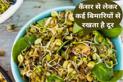 Sprouts Benefits in Hindi