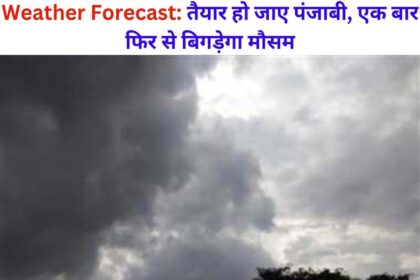 Weather Forecast