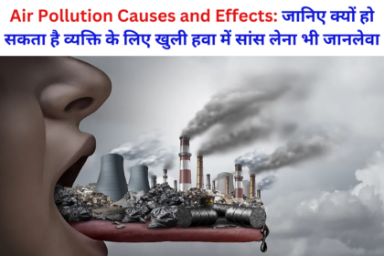 Air Pollution Causes and Effects