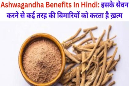 Ashwagandha Benefits In Hindi