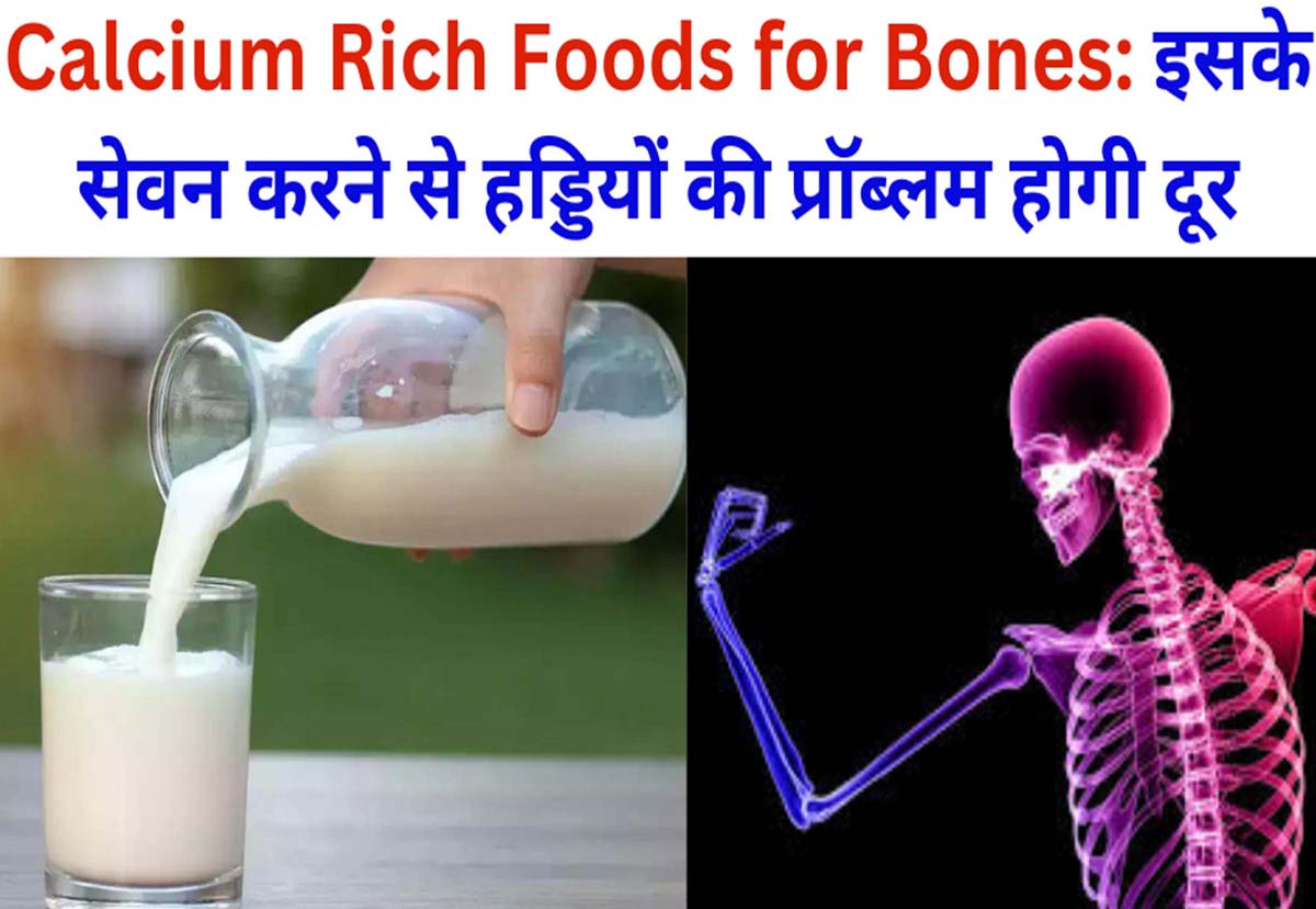 Calcium Rich Foods for Bones