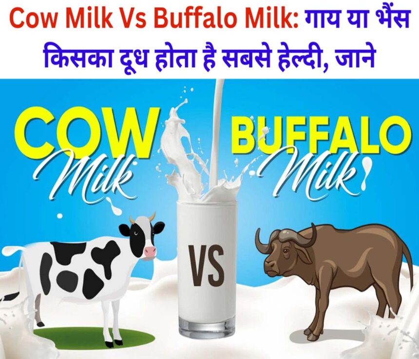 Cow Milk Vs Buffalo Milk