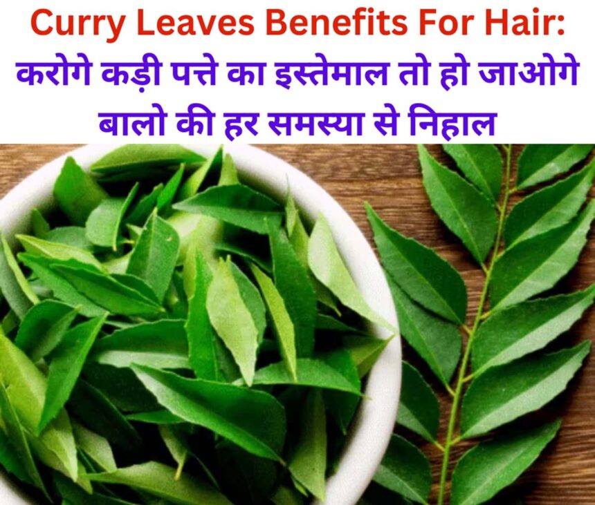 Curry Leaves Benefits For Hair