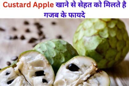 Custard Apple Benefits