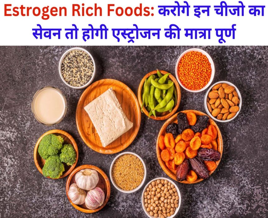 Estrogen Rich Foods