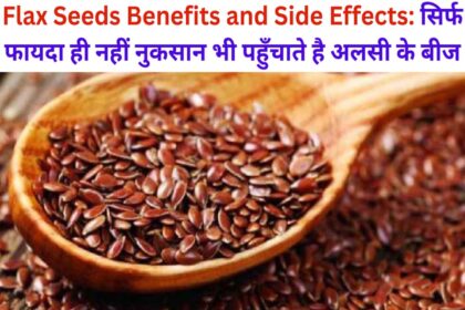 Flax Seeds Benefits and Side Effects